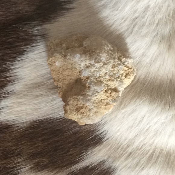 Geo - Picture 2 of 3